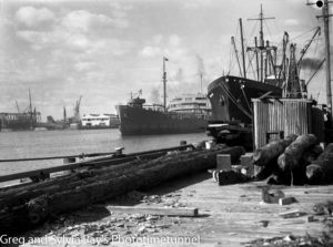 The ship Adelong at the timber wharf, Newcastle Harbour, April 24, 1946.
