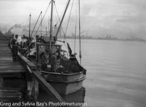 Commercial fishing boats in Newcastle Harbour, May 20, 1947.