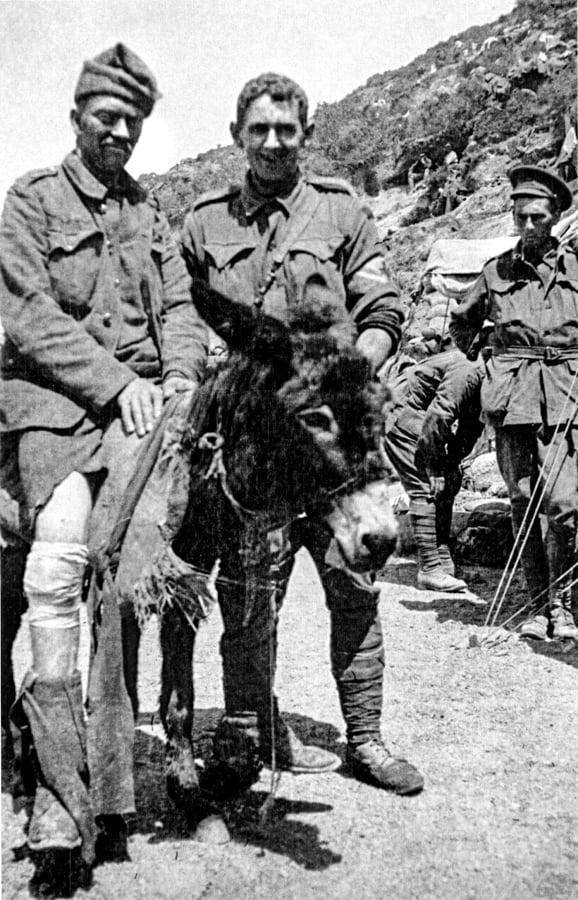 You are currently viewing Anzac donkey-man Kirkpatrick’s links to Newcastle, NSW