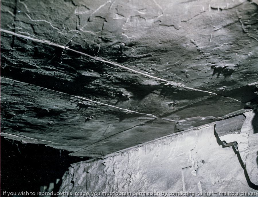 You are currently viewing The mystery in the mine: lizard tracks deep below Catherine Hill Bay.