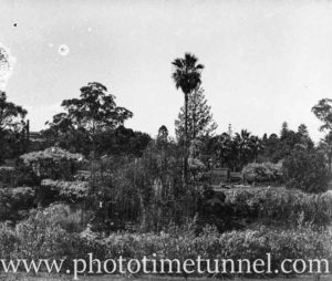 View of Hollywood Pleasure Grounds, Lansvale, Sydney, circa 1928. (10)