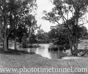 View of Hollywood Pleasure Grounds, Lansvale, Sydney, circa 1928. (5)