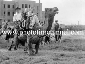 Camel wrangler Dick Jones selling rides to schoolchildren in Newcastle, October 21, 1937. (1)