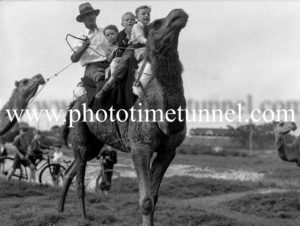 Camel-wrangler Dick Jones selling rides to schoolchildren in Newcastle, NSW, October 21, 1937. (4)