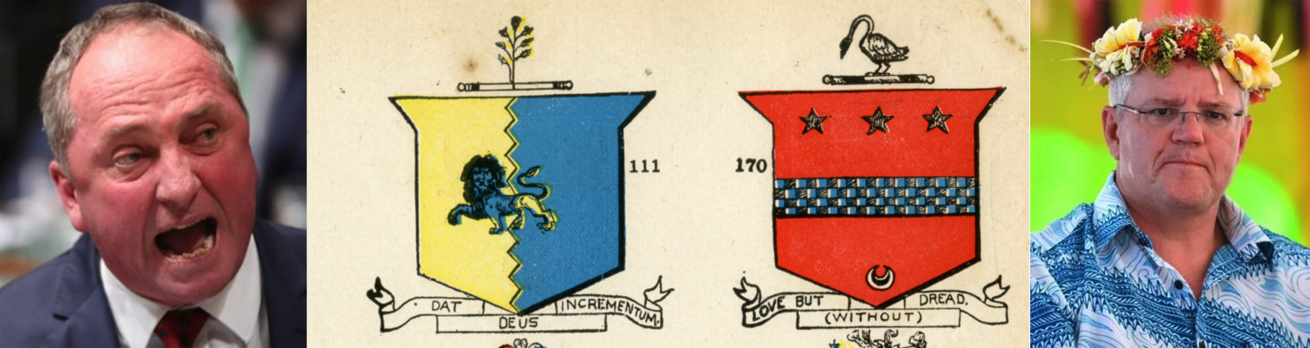 Read more about the article What’s in a name, and a coat of arms?