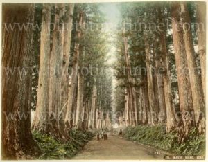 Imaichi-Nikko road, Japan. Hand-coloured print by Kimbei Kusakabe, circa 1900.