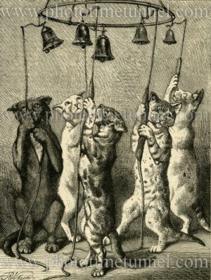Cats ringing a bell. Vintage wood engraving.