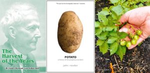 Read more about the article Potatoes, sex and heredity