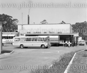 Wyong Dairy, NSW, September 12, 1968.