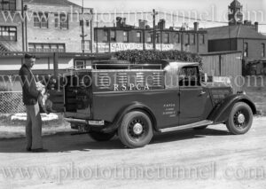 New dog ambulance delivered to RSPCA Newcastle, September 14, 1937 (2)